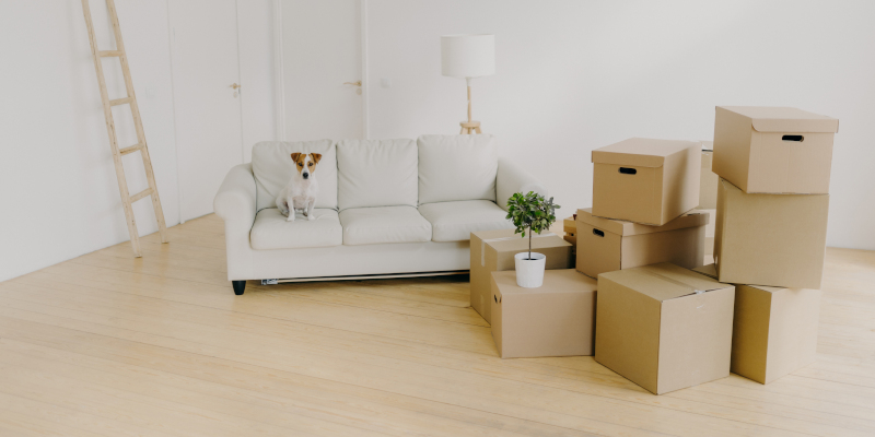 Post-Move Cleaning in Greensboro, North Carolina