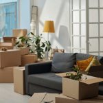 Move In/Out Cleaning