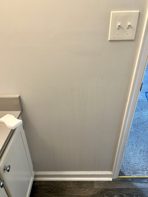 Bathroom Wall