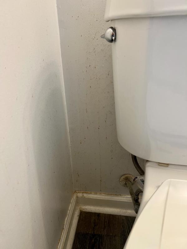 Bathroom Wall