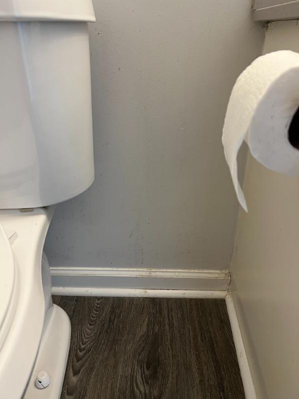 Bathroom Wall